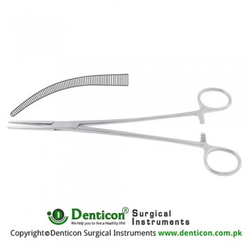 Heiss Haemostatic Forceps Gently Curved Stainless Steel, 20.5 cm - 8"